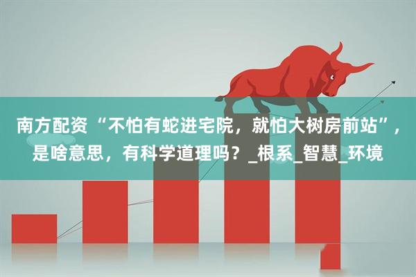 南方配资 “不怕有蛇进宅院，就怕大树房前站”，是啥意思，有科学道理吗？_根系_智慧_环境