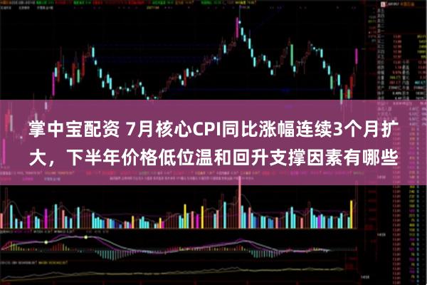 掌中宝配资 7月核心CPI同比涨幅连续3个月扩大，下半年价格低位温和回升支撑因素有哪些