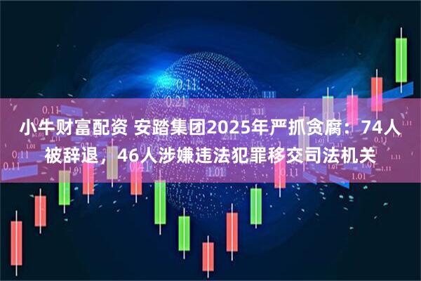 小牛财富配资 安踏集团2025年严抓贪腐：74人被辞退，46人涉嫌违法犯罪移交司法机关