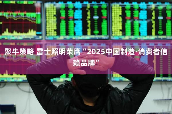 聚牛策略 雷士照明荣膺“2025中国制造·消费者信赖品牌”