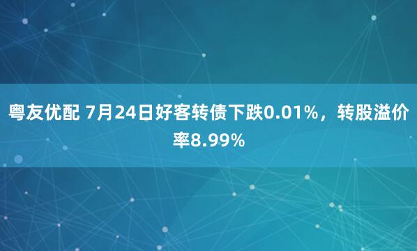 粤友优配 7月24日好客转债下跌0.01%，转股溢价率8.99%