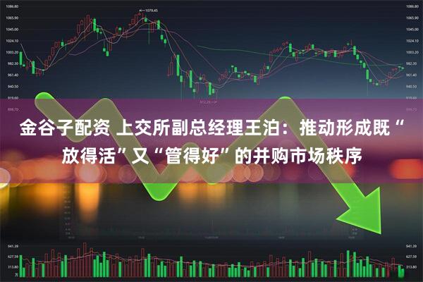 金谷子配资 上交所副总经理王泊：推动形成既“放得活”又“管得好”的并购市场秩序
